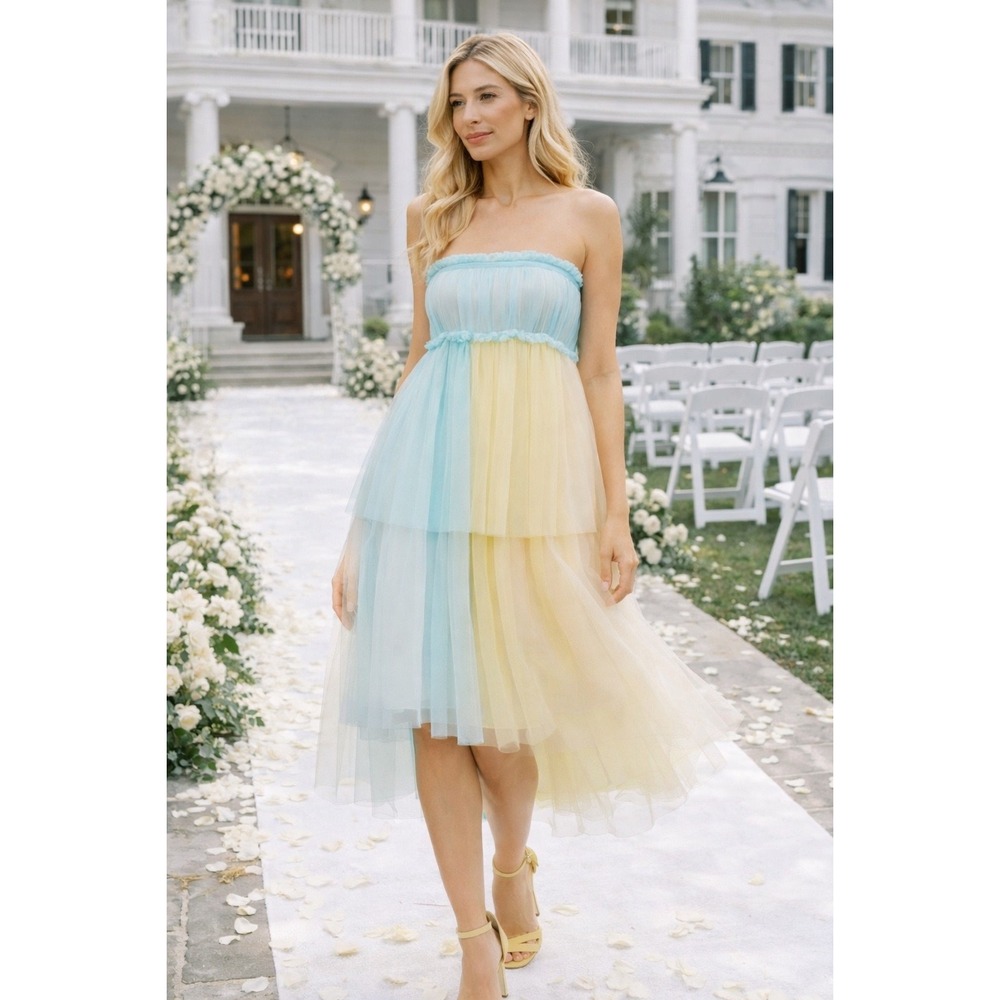 P2 Pernille Rosenkilde Anthropologie Strapless Small Tulle Dress Pastel Rainbow